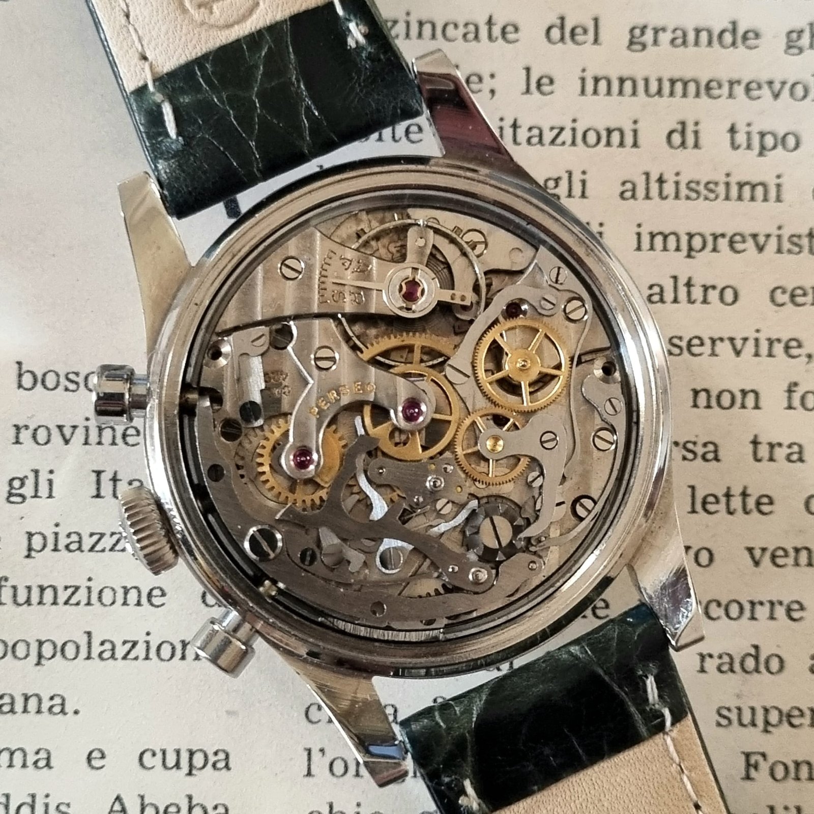 whatsapp image 2026 02 16 at 17.22.58